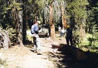 img-scan065