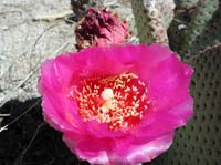DSCN3215