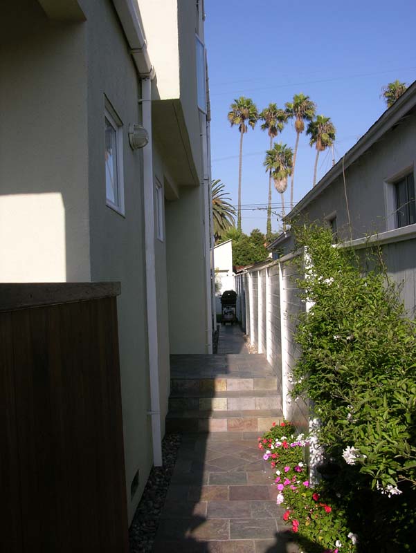 DSCN6225