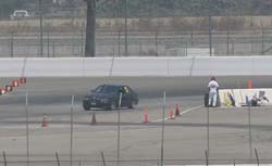 XK9R0766 cropped